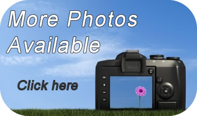 Book Garden Barn online